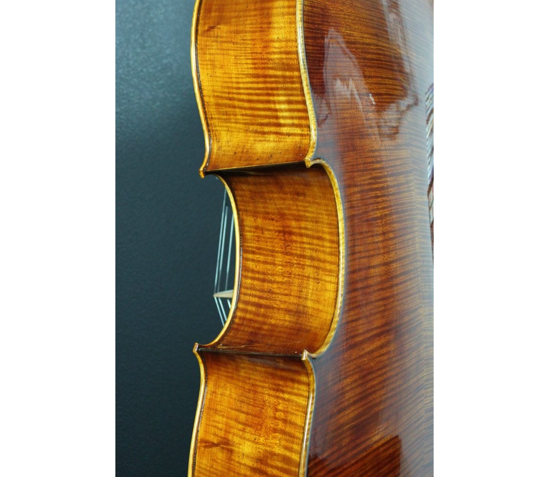 Violin Side View