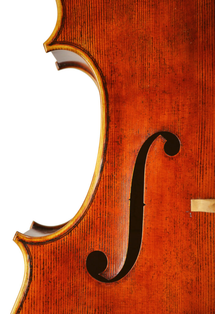 Cello_Goffriller_2013_03.detail