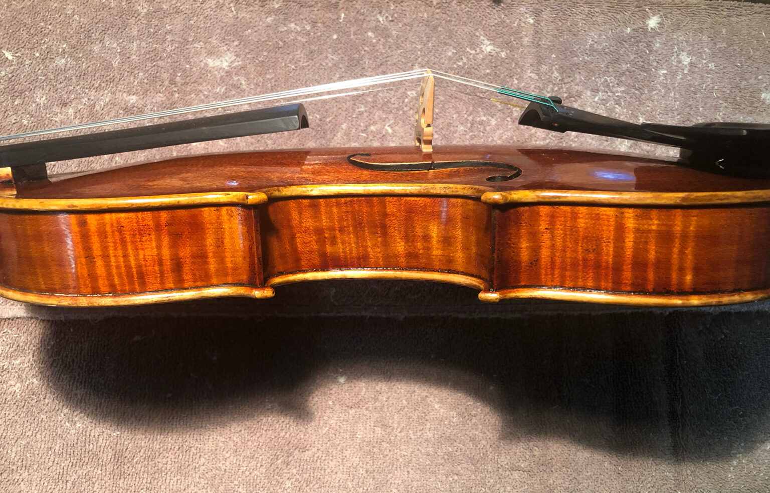 Violin.D_03_2024_Stradivari_Side