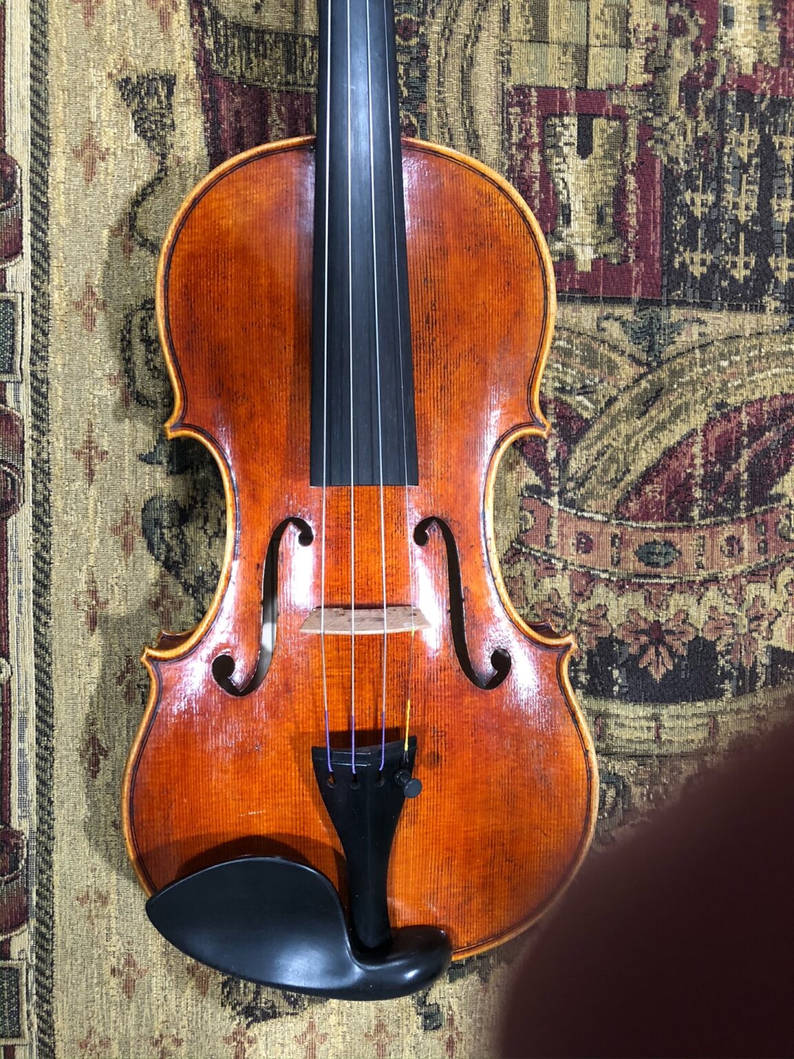 Violin_B_2020_Guarneri_Front